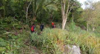 Banyak Kebun di Kawasan Penyangga Cycloop