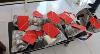 Kapolres: Dua penyelundup dengan satu kilogram ganja ditangkap di Biak