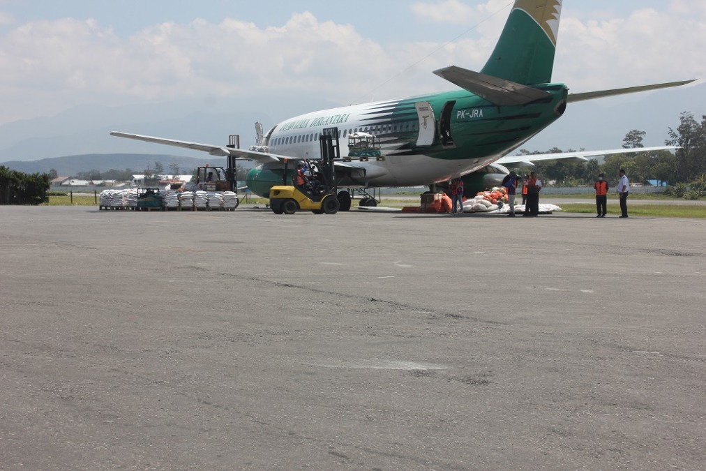 Kabut Asap Mulai Berkurang di Wamena, Penerbangan Kembali Normal