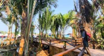 Hutan Sagu Khalkote, Wisata Alam yang Kini Dikembangkan