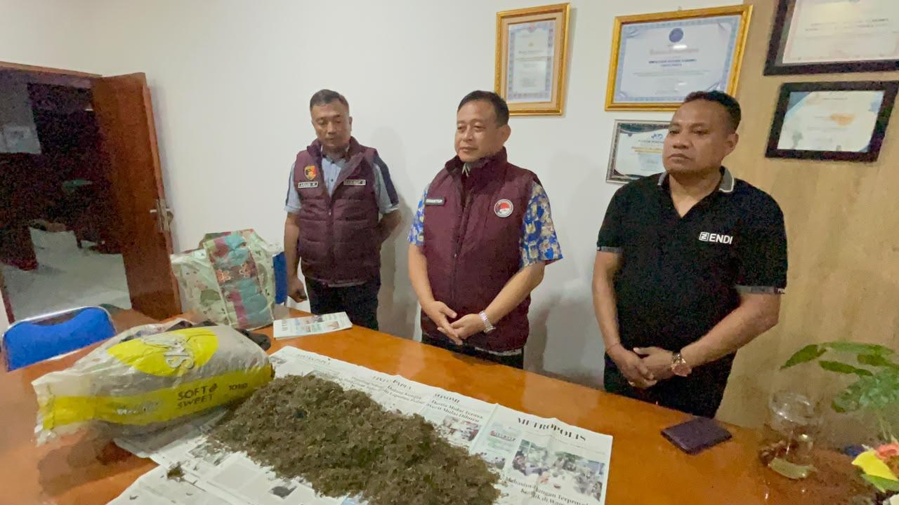 Operasi Sarang Narkoba, Polda Amankan 4 Anak dan 10 Kg Ganja