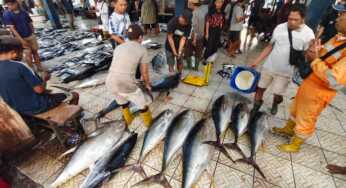 Olahan Ikan Papua Tembus Amerika, Nelayan Lokal Jadi Penopang