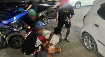 Bawa Bibit Ganja, Seorang Pemuda Dibekuk   